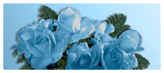 DNSEMP-L-061 Bouquet Of Roses Blue